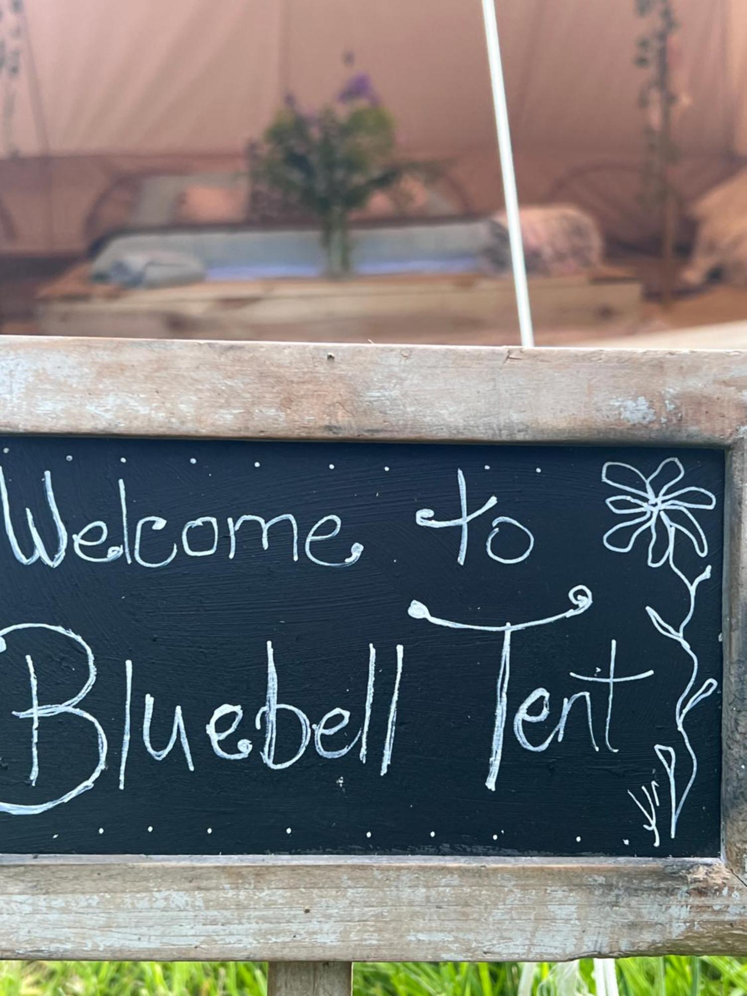 Bluebell Tent At Ballyward Croft Ardkeen Exterior foto