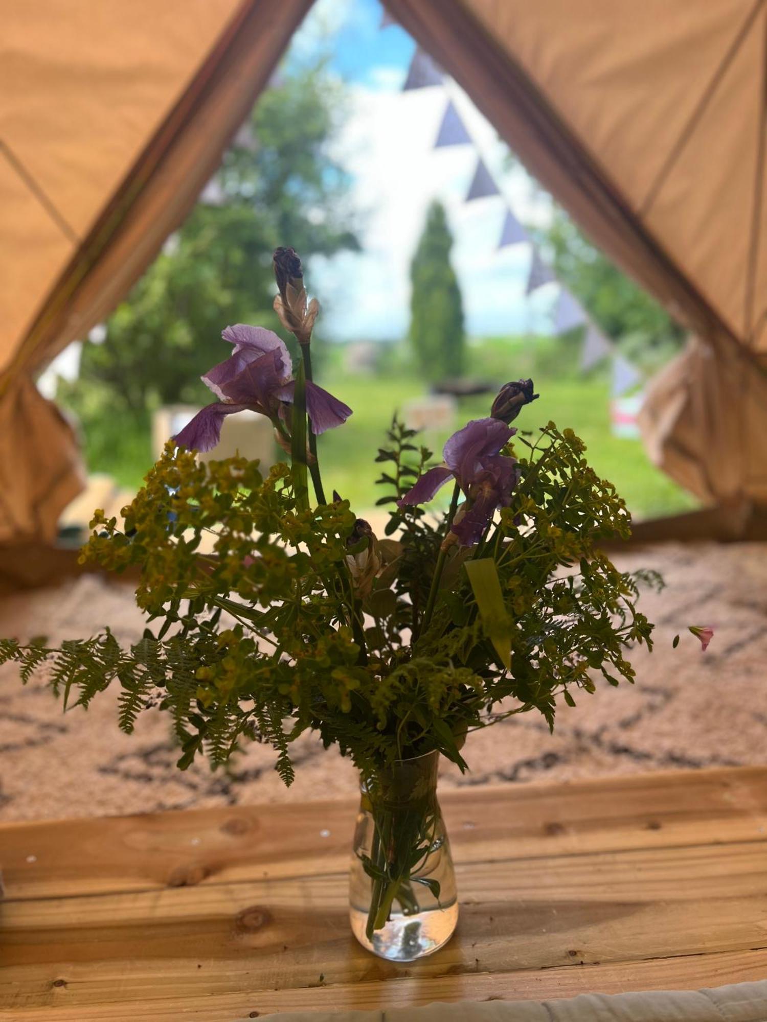 Bluebell Tent At Ballyward Croft Ardkeen Exterior foto
